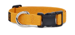 All GenderTeva Dog Collar 19Mm