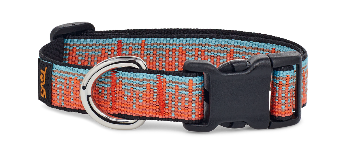 All GenderTeva Dog Collar 19Mm