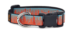 All GenderTeva Dog Collar 19Mm