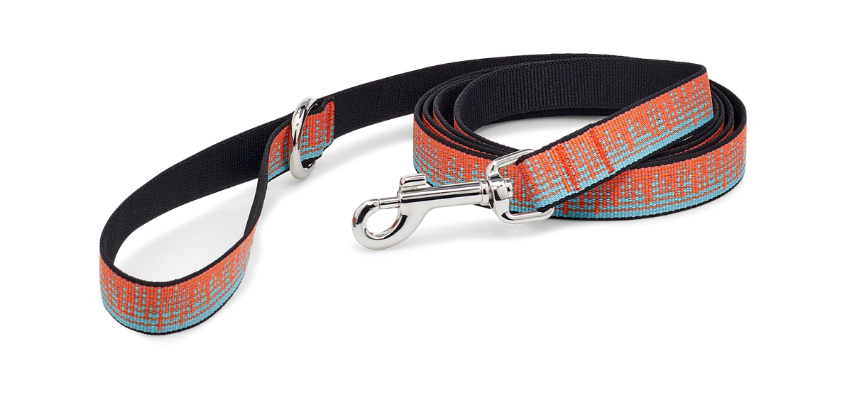 All GenderTeva Dog Leash 19Mm