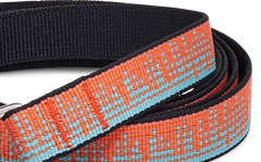 All GenderTeva Dog Leash 19Mm
